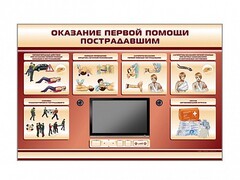 Многофункциональный интерактивный стенд-тренажер "Оказание первой помощи пострадавшим" для учащихся общеобразовательных учреждений - fgospostavki.ru - Уфа