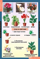 Комплект таблиц. Окружающий мир 1 класс. - fgospostavki.ru - Уфа