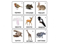 Набор магнитных карточек по музыке "Животные" (9 штук) - fgospostavki.ru - Уфа