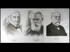 Портреты биологов (26 штук, формат А3) - fgospostavki.ru - Уфа