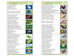 Комплект карточек (10) "Обучающий калейдоскоп. Природа" - fgospostavki.ru - Уфа