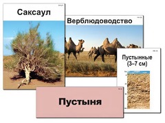 Модель-аппликация "Природные зоны России" (ламинированная) - fgospostavki.ru - Уфа