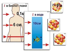 Модель-аппликация "Явление радиоактивности" (ламинированная) - fgospostavki.ru - Уфа