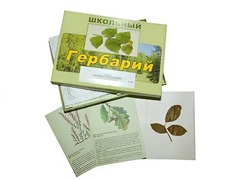 Гербарий "Дикорастущие растения" (30 видов, с иллюстрациями) - fgospostavki.ru - Уфа