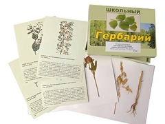 Гербарий "Систематика растений. Семейство Бобовые. Злаки" (раздаточный) - fgospostavki.ru - Уфа
