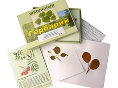 Гербарий "Систематика растений. Семейство Розоцветные" (раздаточный) - fgospostavki.ru - Уфа