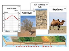 Модель-аппликация "Природные зоны" - fgospostavki.ru - Уфа