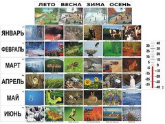 Фенологические наблюдения - fgospostavki.ru - Уфа