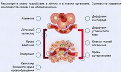 Интерактивные курсы. Биология 9 класс. Расширенный. - fgospostavki.ru - Уфа