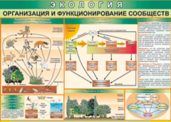 Таблица "Организация и функционирование сообществ" (100х140 сантиметров, винил) - fgospostavki.ru - Уфа