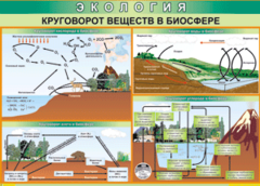 Таблица "Круговорот веществ в биосфере" (100х140 сантиметров, винил) - fgospostavki.ru - Уфа