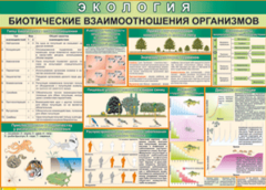Таблица "Биотические взаимоотношения организмов" (100х140 сантиметров, винил) - fgospostavki.ru - Уфа