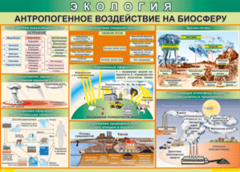 Таблица "Антропогенное воздействие на биосферу" (100х140 сантиметров, винил) - fgospostavki.ru - Уфа