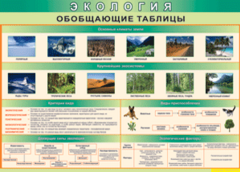 Таблица "Экология. Обобщающие таблицы" (100х140 сантиметров, винил) - fgospostavki.ru - Уфа