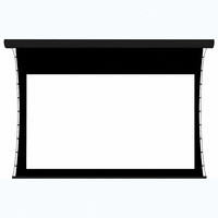 Экран настенный с электроприводом DSTPX-16918 - fgospostavki.ru - Уфа