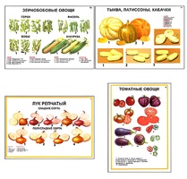 Плакаты ПРОФТЕХ "Ассортимент овощных культур" (12 пл, винил, 70х100) - fgospostavki.ru - Уфа