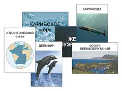 Модель-аппликация "Океаны. Знакомство" (ламинированная) - fgospostavki.ru - Уфа