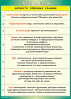 Таблица "Алгоритм описания реакции" (100х140 сантиметров, винил) - fgospostavki.ru - Уфа