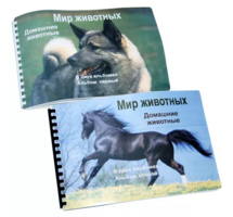 Пособие для слабовидящих - Домашние животные - fgospostavki.ru - Уфа