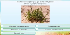 Интерактивные курсы. Окружающий мир 3 класс . Базовый. - fgospostavki.ru - Уфа