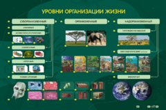 Электрифицированный стенд "Уровни организации жизни" - fgospostavki.ru - Уфа