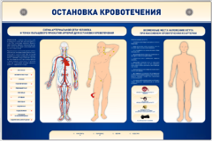 Электрифицированный стенд-тренажер "Остановка кровотечения" - fgospostavki.ru - Уфа