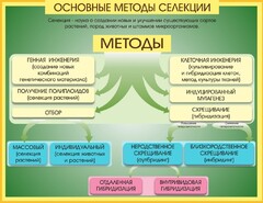 Стенд "Методы селекции и биотехнологии" - fgospostavki.ru - Уфа
