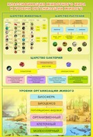 Стенд "Классификация животного мира" - fgospostavki.ru - Уфа