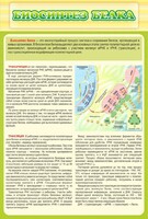 Стенд "Биосинтез белка" - fgospostavki.ru - Уфа