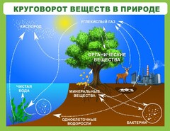 Стенд "Круговорот веществ" - fgospostavki.ru - Уфа