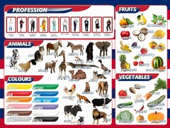 Стенд "Цвета, животные, профессии, фрукты, овощи" - fgospostavki.ru - Уфа