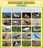 Стенд "Красная книга - птицы" - fgospostavki.ru - Уфа