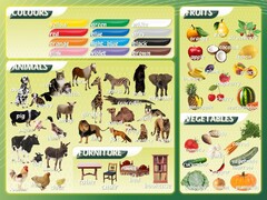 Стенд "Цвета, животные, фрукты, овощи" - fgospostavki.ru - Уфа