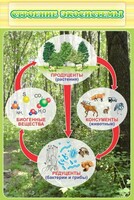 Стенд "Строение экосистемы" - fgospostavki.ru - Уфа