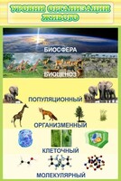 Стенд "Уровни организации живого" - fgospostavki.ru - Уфа