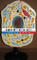 Модель "Клетка животного" - fgospostavki.ru - Уфа