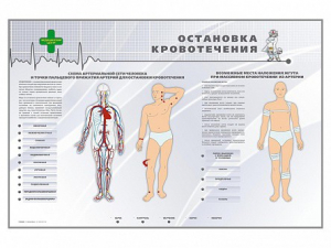 Электрифицированный стенд "Остановка кровотечения" - fgospostavki.ru - Уфа