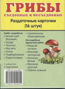 Раздаточные карточки "Грибы съедобные и не съедобные" - fgospostavki.ru - Уфа