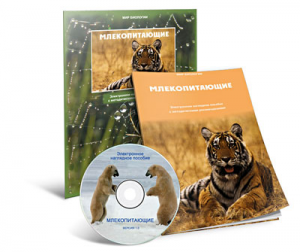 Электронное наглядное пособие «Млекопитающие» - fgospostavki.ru - Уфа