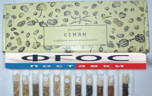 Коллекция "Семена к гербарию для начальной школы" (11 видов) - fgospostavki.ru - Уфа