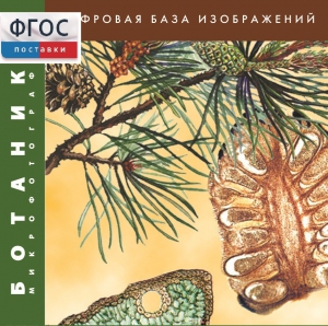 Ботаника. Микрофотографии. (Цифровая база изображений) - fgospostavki.ru - Уфа