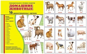 Демонстрационные карточки "Домашние животные" - fgospostavki.ru - Уфа
