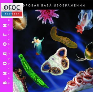 Биология. Микрофотографии. (Цифровая база изображений) - fgospostavki.ru - Уфа