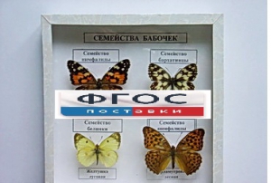 Коллекция "Семейство бабочек" - fgospostavki.ru - Уфа