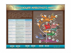 Интерактивный электрифицированный стенд "Эволюция животного мира" - fgospostavki.ru - Уфа