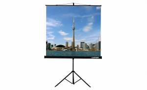 Проекционный экран на штативе Lumien Eco View (LEV-100105) 160x160 см - fgospostavki.ru - Уфа