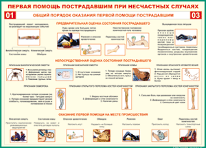 Таблица "Общий порядок оказания первой помощи пострадавшим" (100х140 сантиметров, винил) - fgospostavki.ru - Уфа