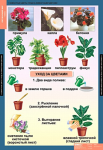 Комплект таблиц. Окружающий мир 1 класс. - fgospostavki.ru - Уфа