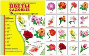 Демонстрационные карточки "Цветы садовые" - fgospostavki.ru - Уфа