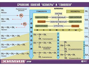 Таблица демонстрационная "Сравнение понятий изомер и гомолог" (винил 70x100) - fgospostavki.ru - Уфа